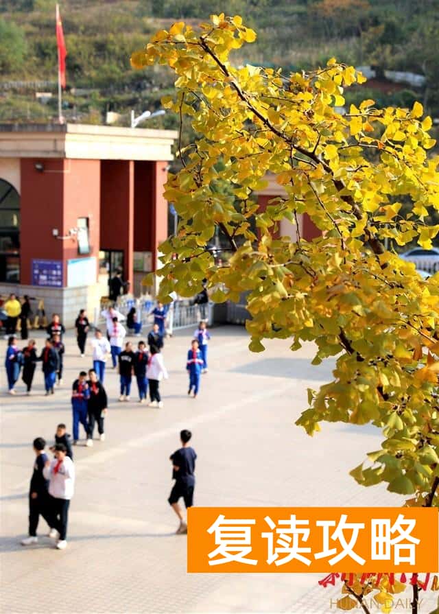 怡雅中学复读收费标准（长沙市怡雅中学：怡雅陪你走过四季）