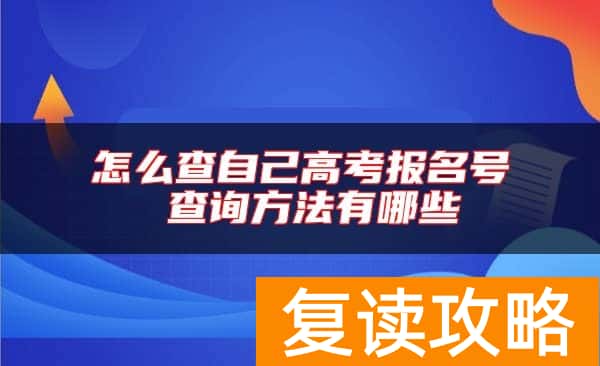怎么查自己高考报名号 查询方法有哪些