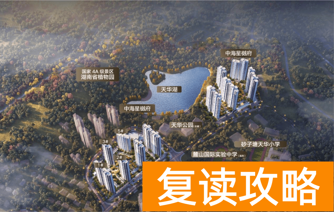 长沙有国际学校吗初中（麓山国际品牌中学规划公示）