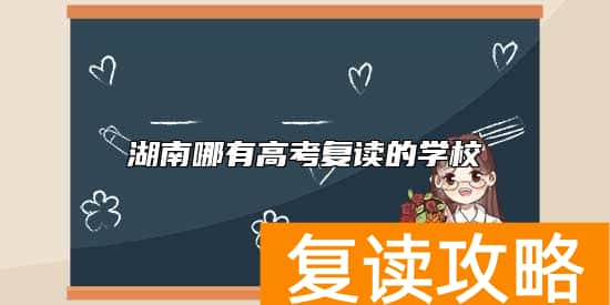 湖南哪有高考复读的学校