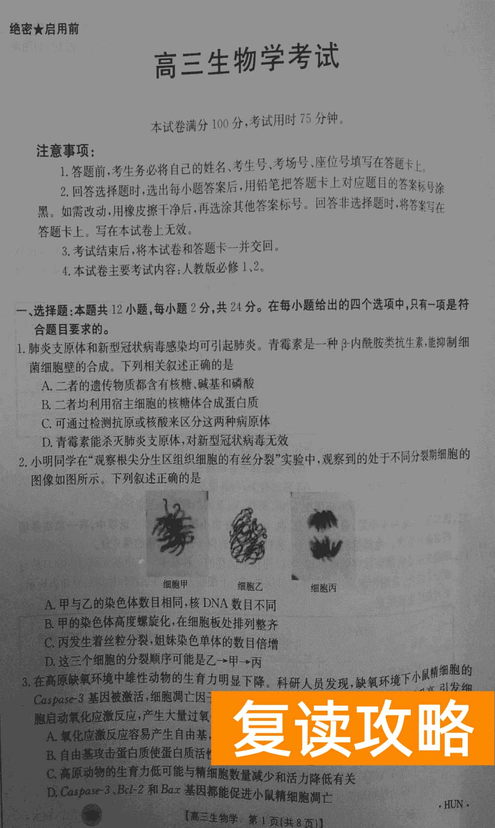 湖南衡阳金太阳2024届高三11月期中考生物试题及答案