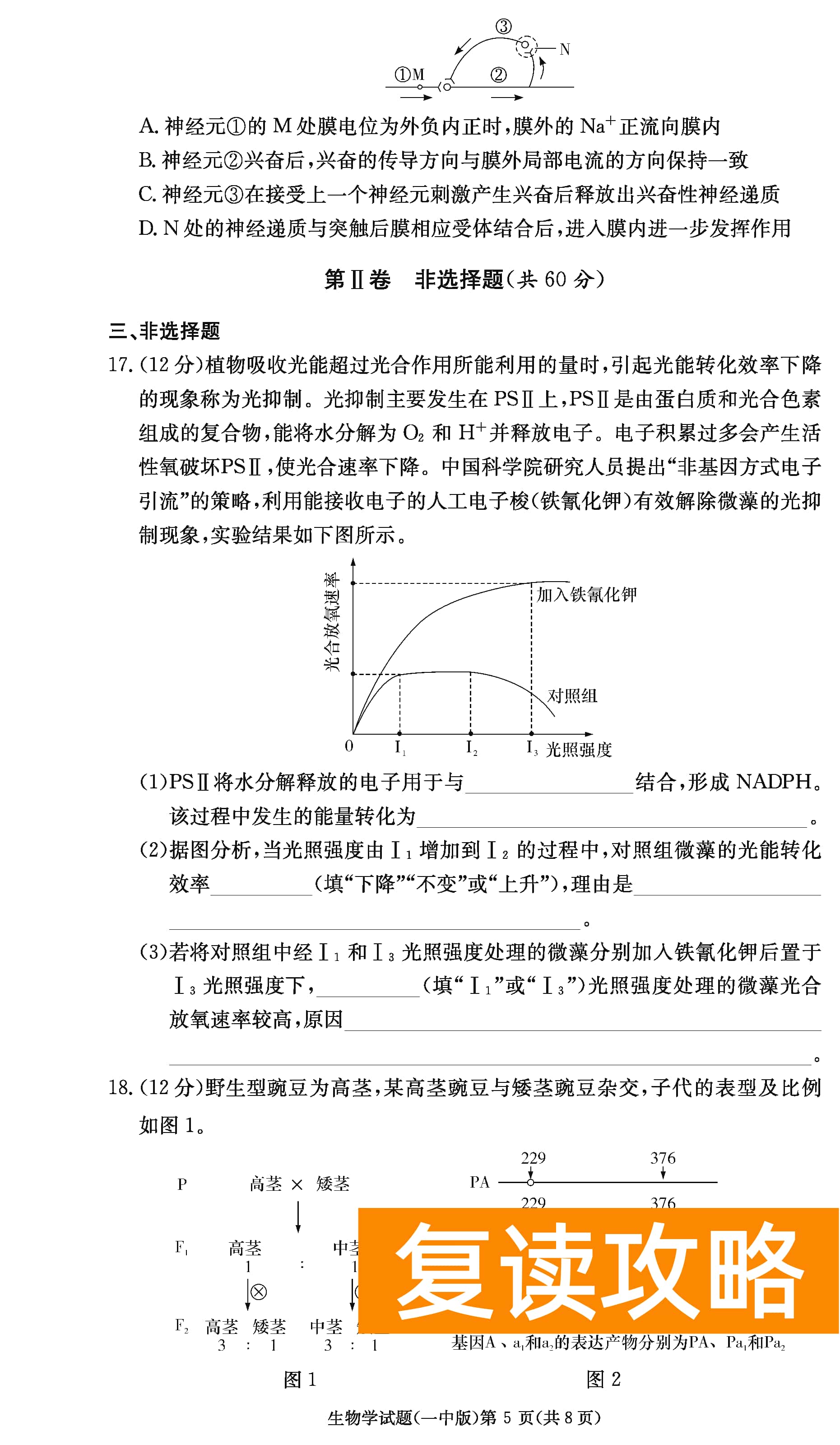 2024届湖南长沙一中高三上学期月考（四）生物试题及答案