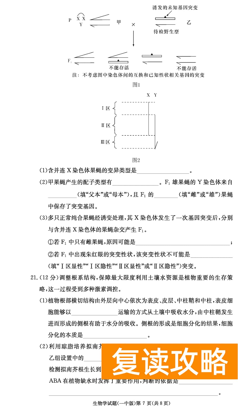 2024届湖南长沙一中高三上学期月考（四）生物试题及答案