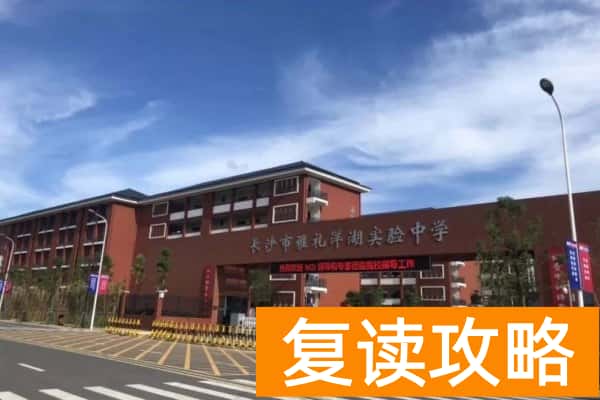 长沙雅礼洋湖实验中学是公办还是民办