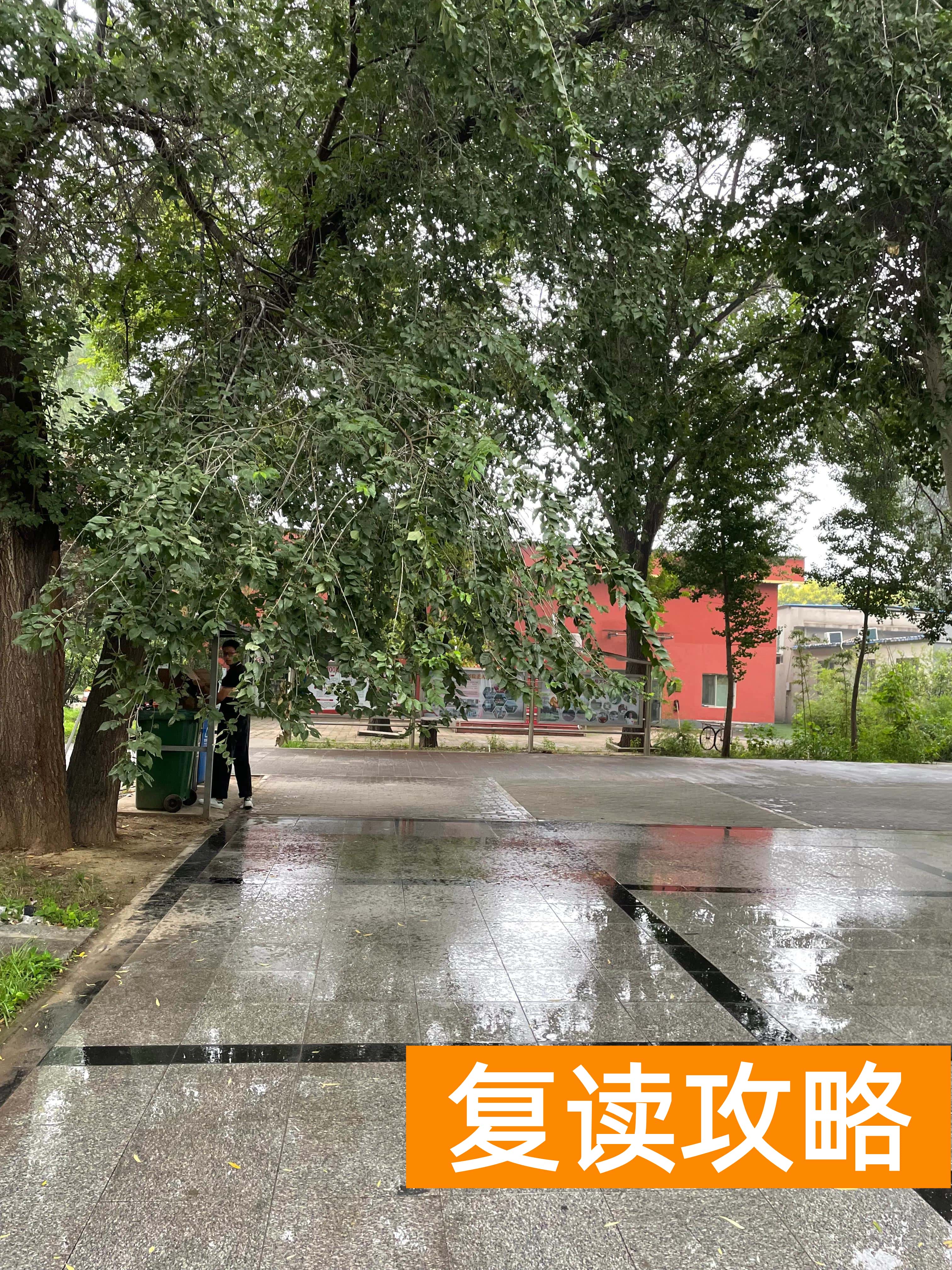 成达培训学校 概况（北京海淀区艺考文化课，稳扎稳打，稳步复习）