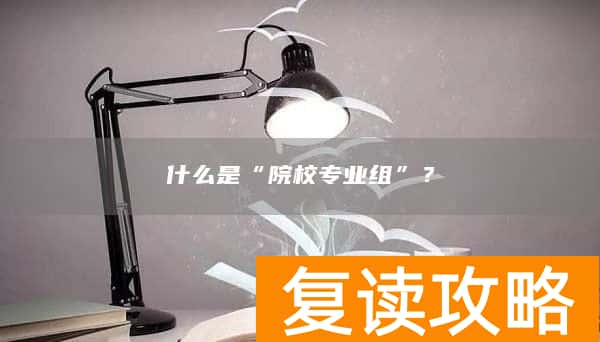 什么是“院校专业组”？