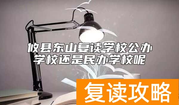 攸县东山复读学校公办学校还是民办学校呢