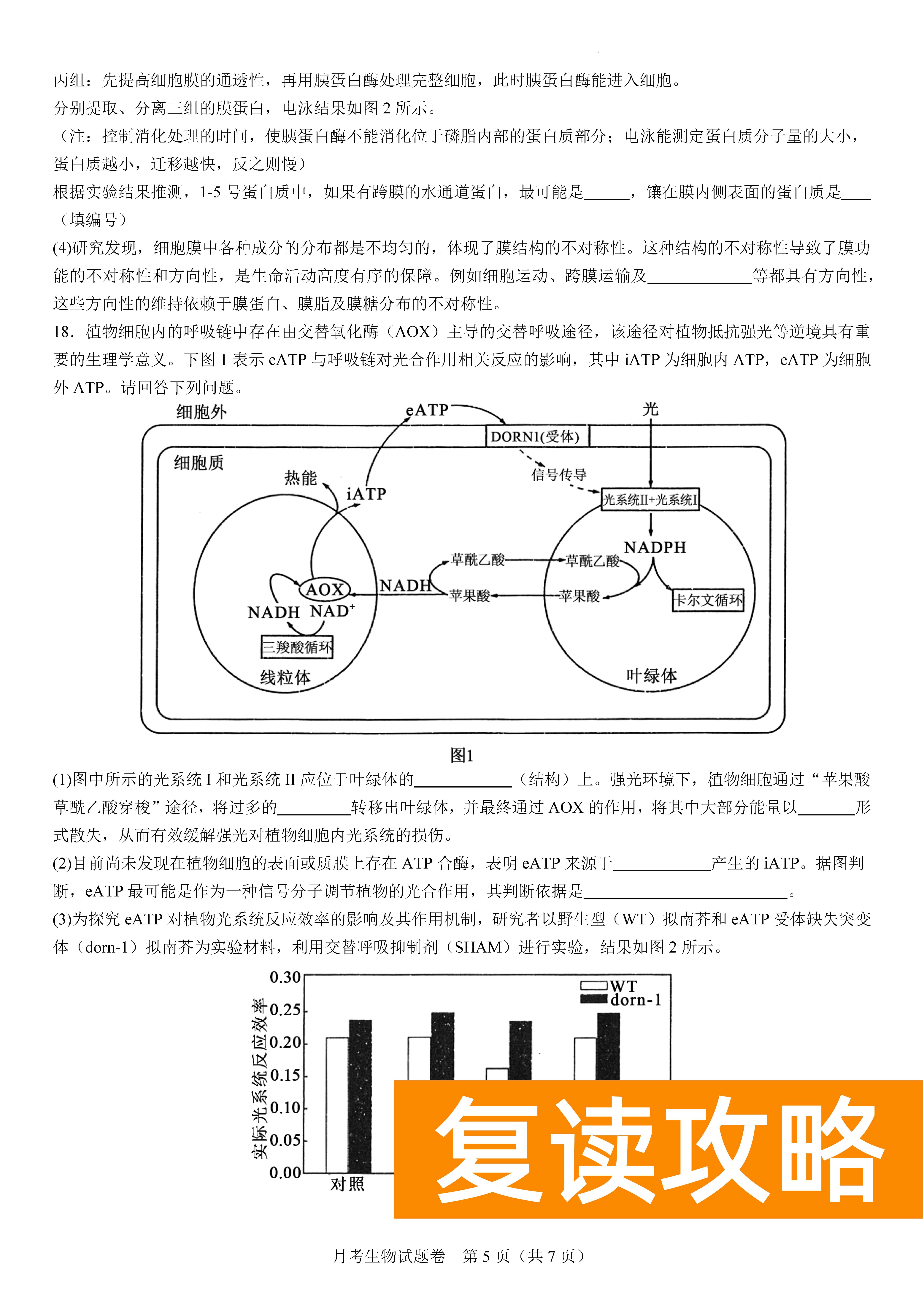 衡阳八中2024届高三上10月月考二生物试题及答案