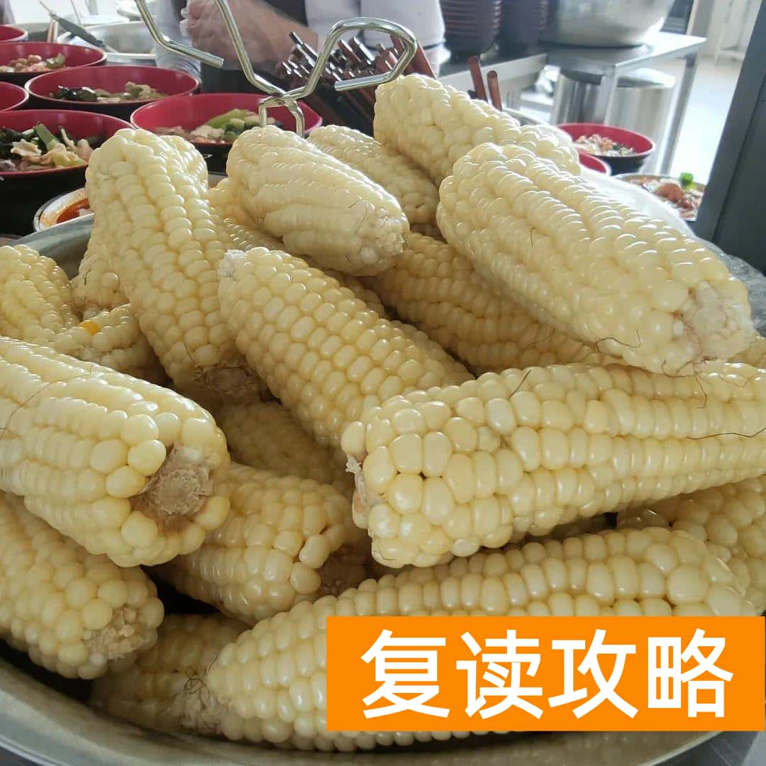 云南正规高三复读学校（云南长水实验中学文山校区2023届高考复读班招生简章）