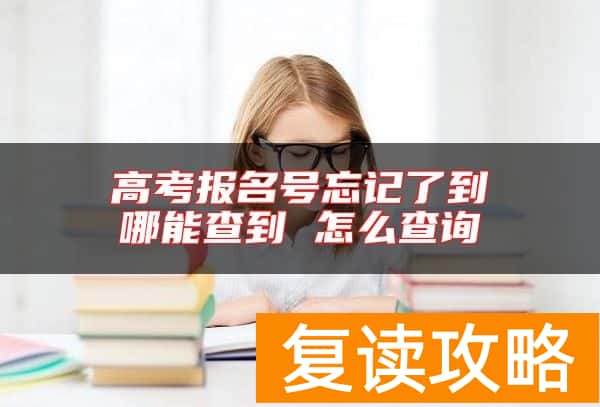 高考报名号忘记了到哪能查到 怎么查询