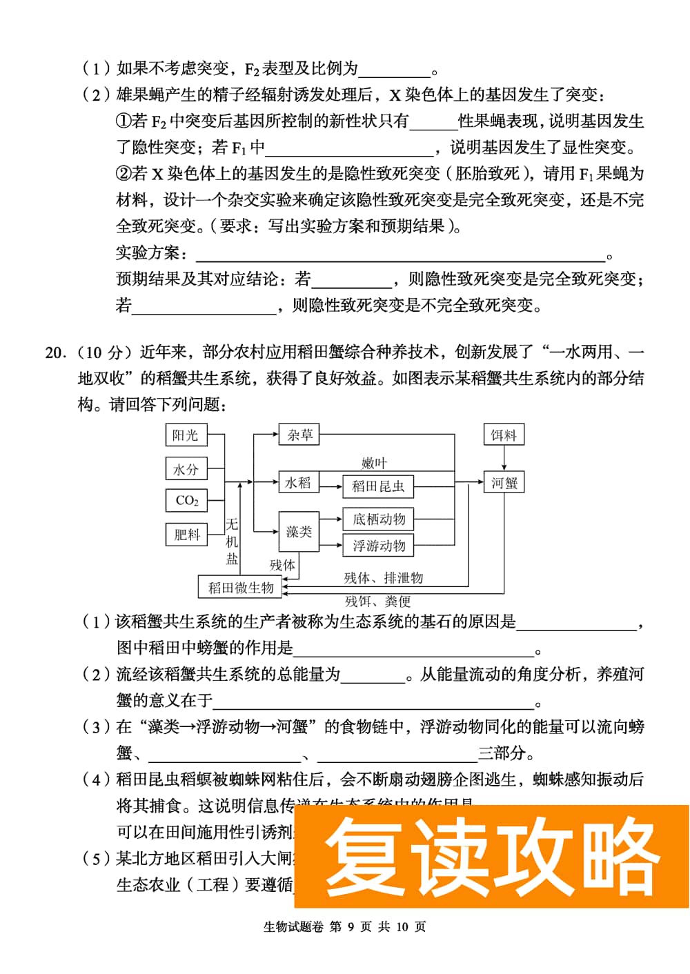 2024届湖南A佳教育高三上11月联考生物试题及答案