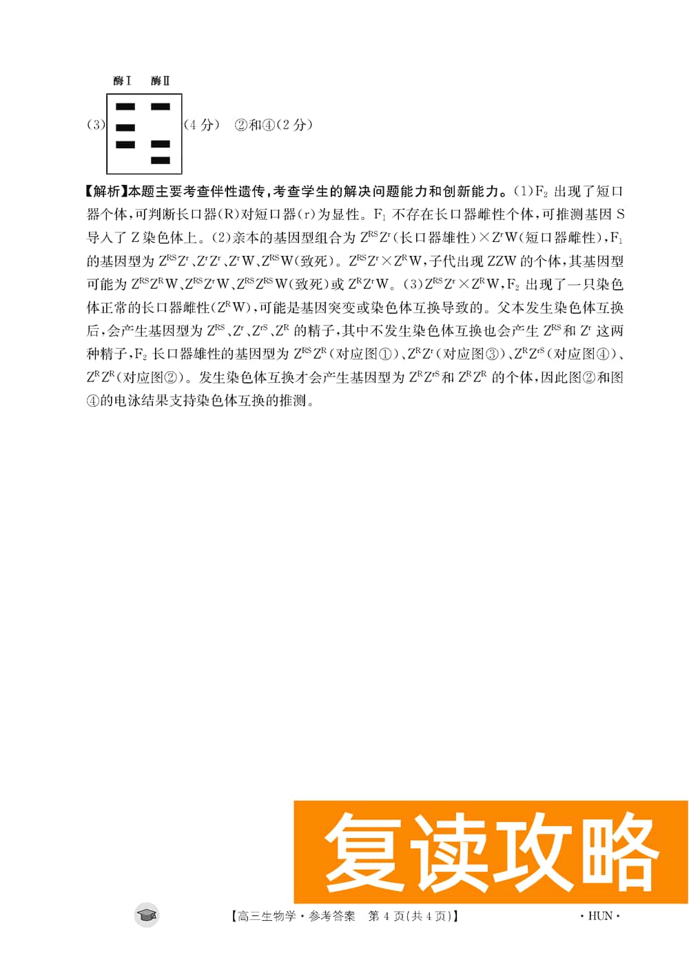 湖南衡阳金太阳2024届高三11月期中考生物试题及答案