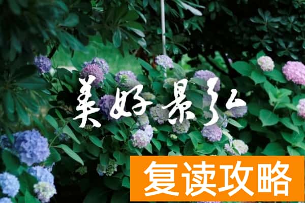 株洲市景弘高级中学2025年招生简章