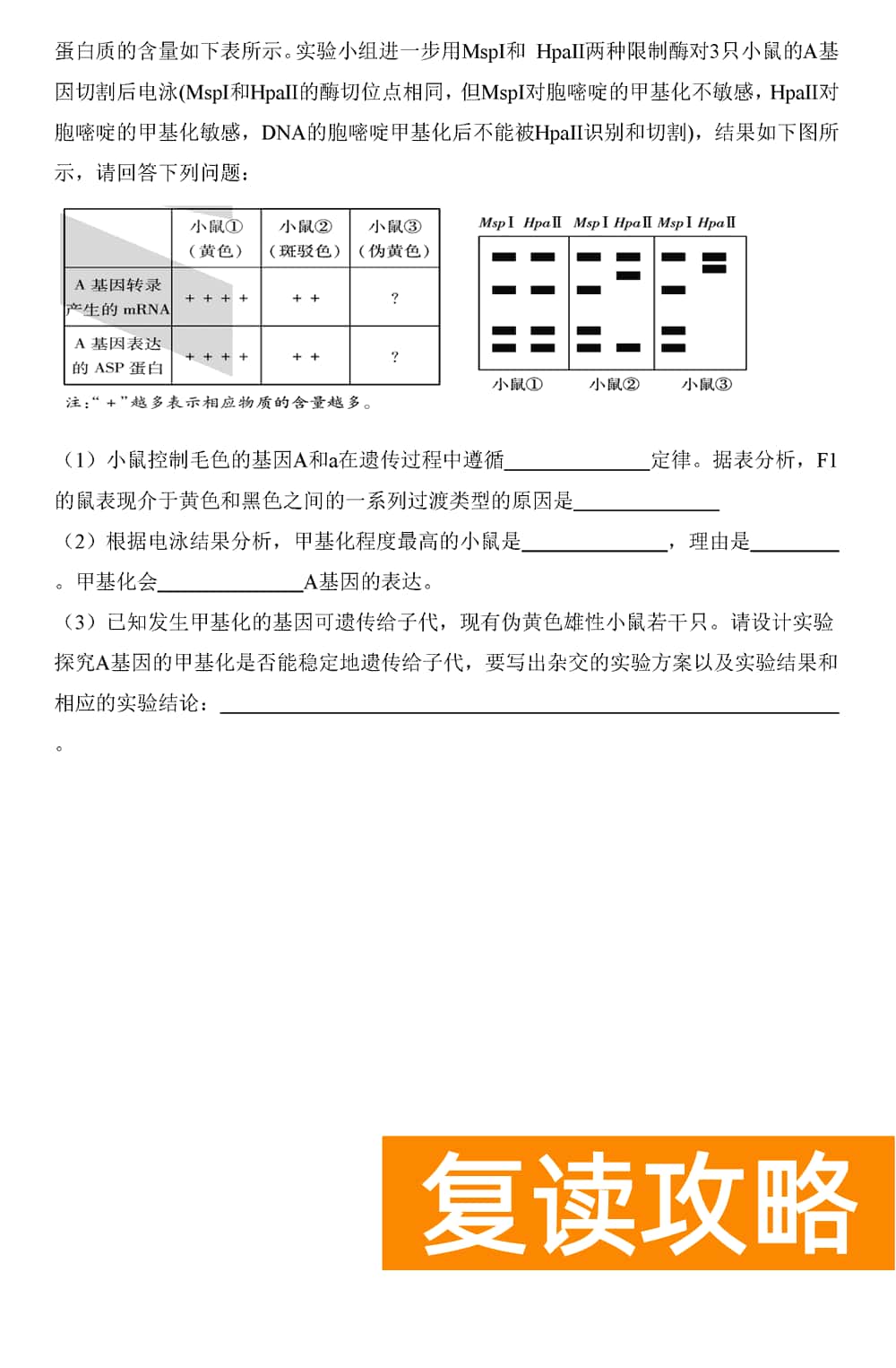 2024届湖南天一大联考高三第三次联考生物试题及答案