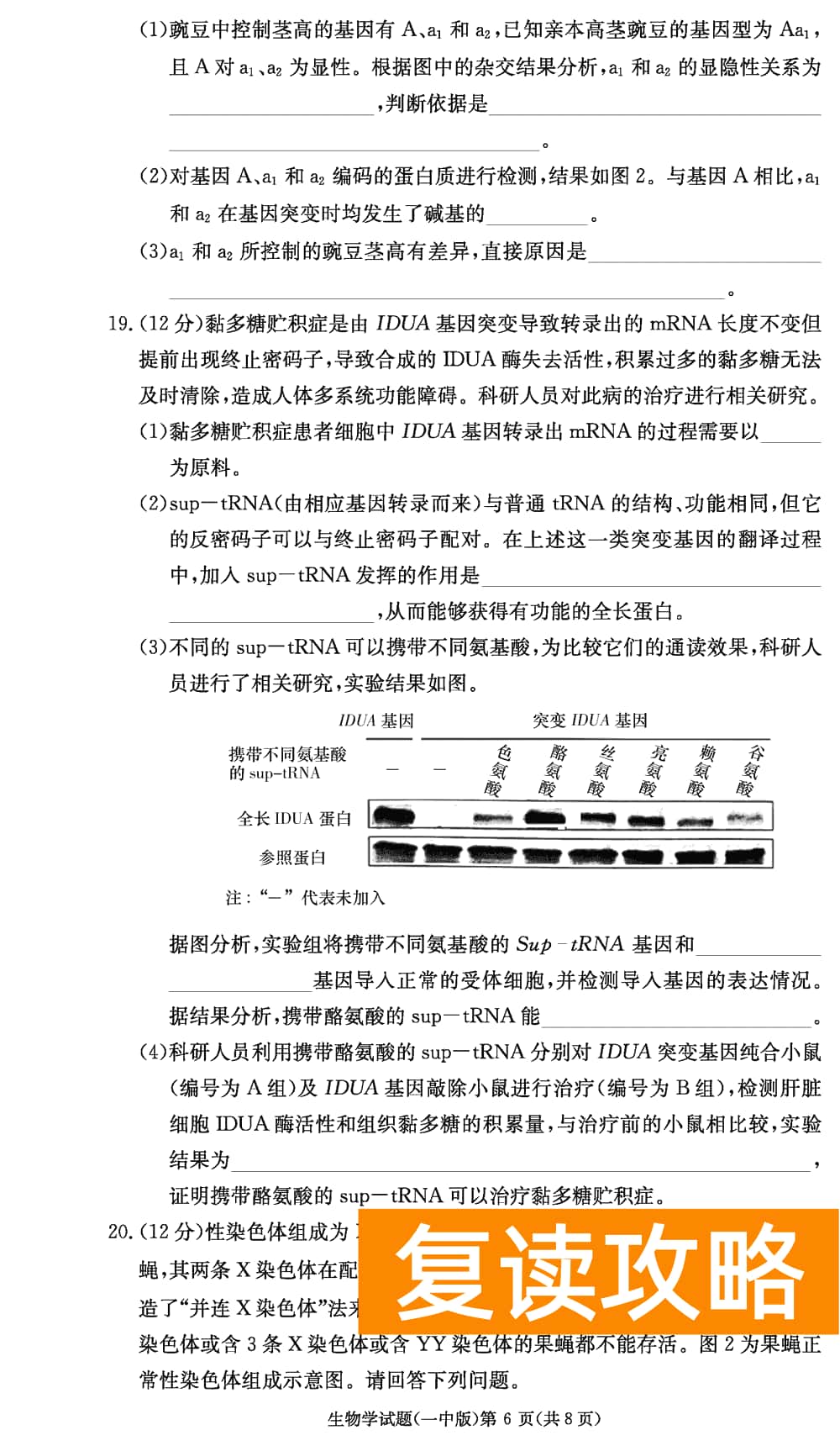 2024届湖南长沙一中高三上学期月考（四）生物试题及答案