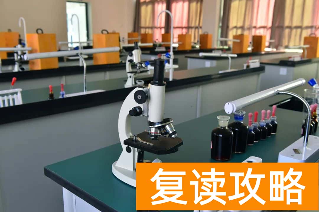 株洲星雅学校高复部校园环境全面揭秘