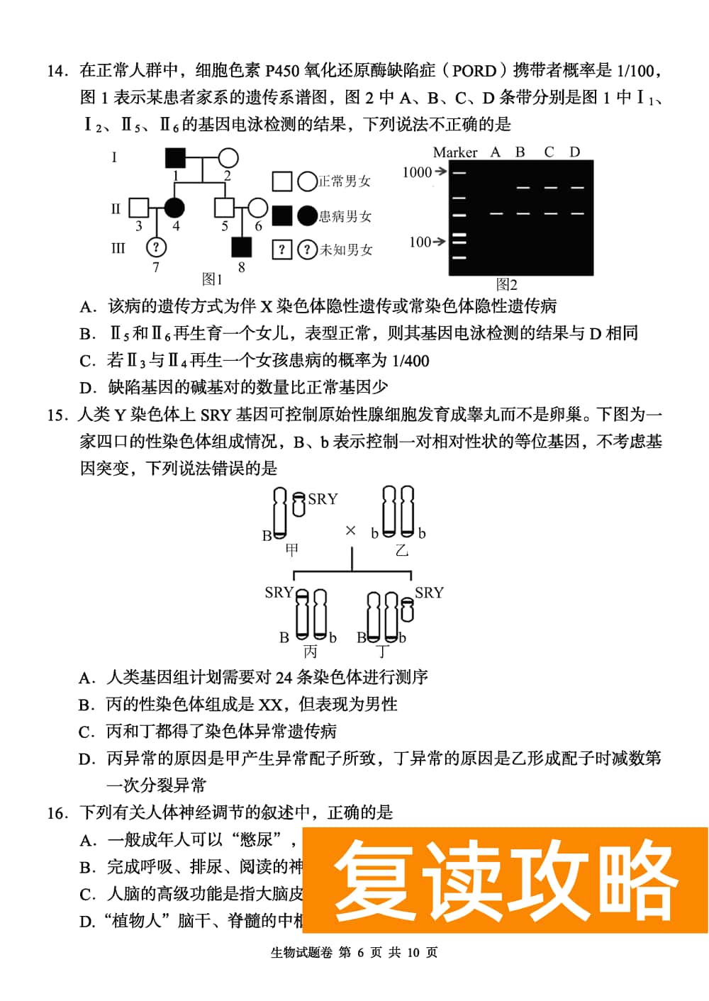 2024届湖南A佳教育高三上11月联考生物试题及答案