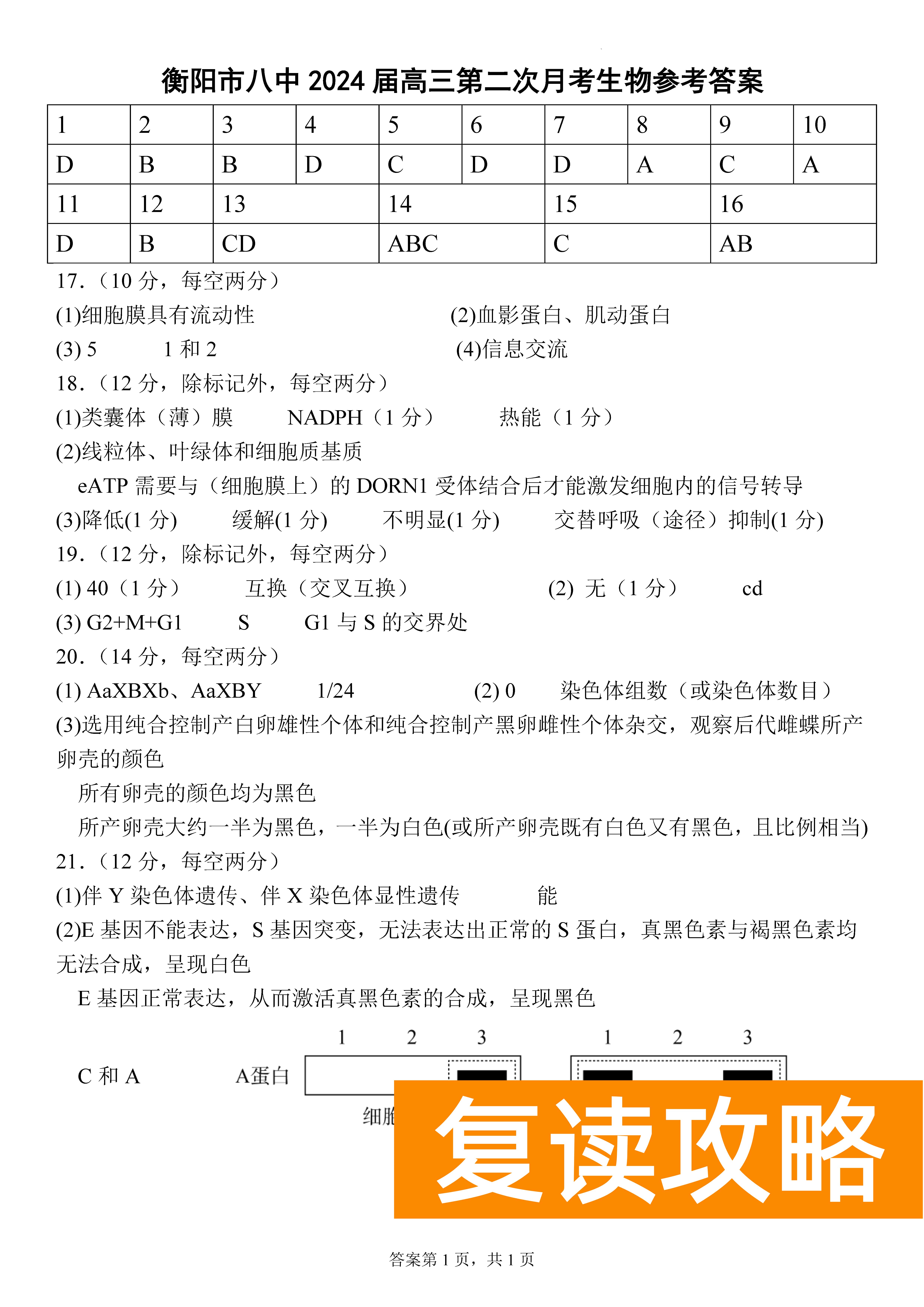 衡阳八中2024届高三上10月月考二生物试题及答案