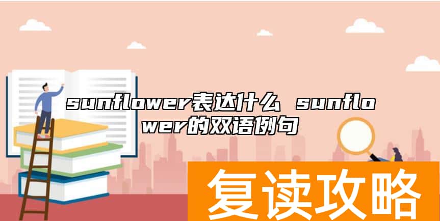 sunflower表达什么 sunflower的双语例句