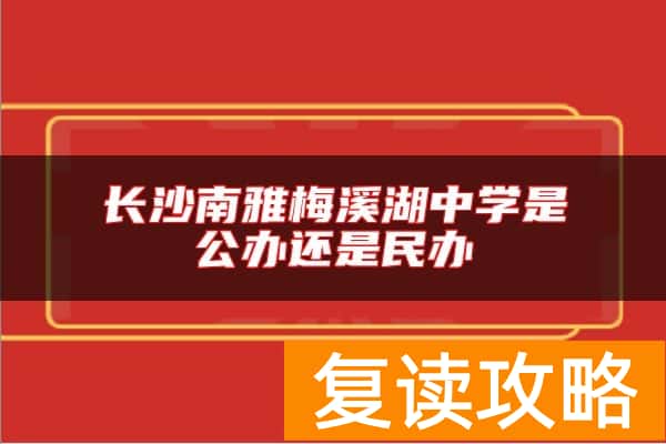 长沙南雅梅溪湖中学是公办还是民办