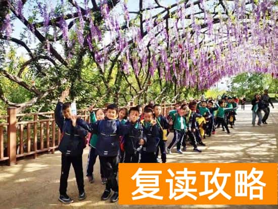 长沙辅仁学校离市中心多远（山大辅仁学校蒙正校区把教室从室内搬到室外）