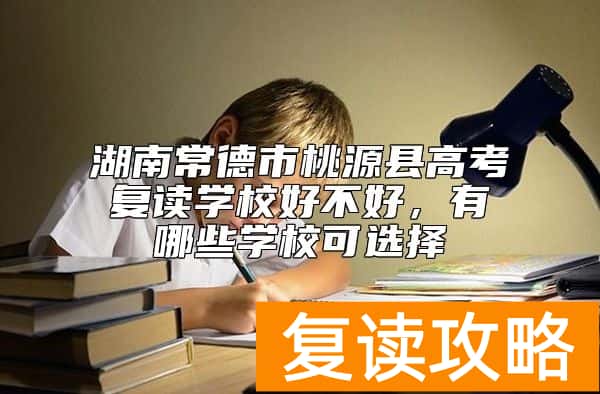 湖南常德市桃源县高考复读学校好不好，有哪些学校可选择