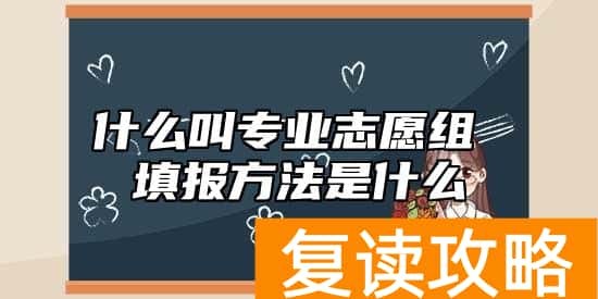什么叫专业志愿组 填报方法是什么