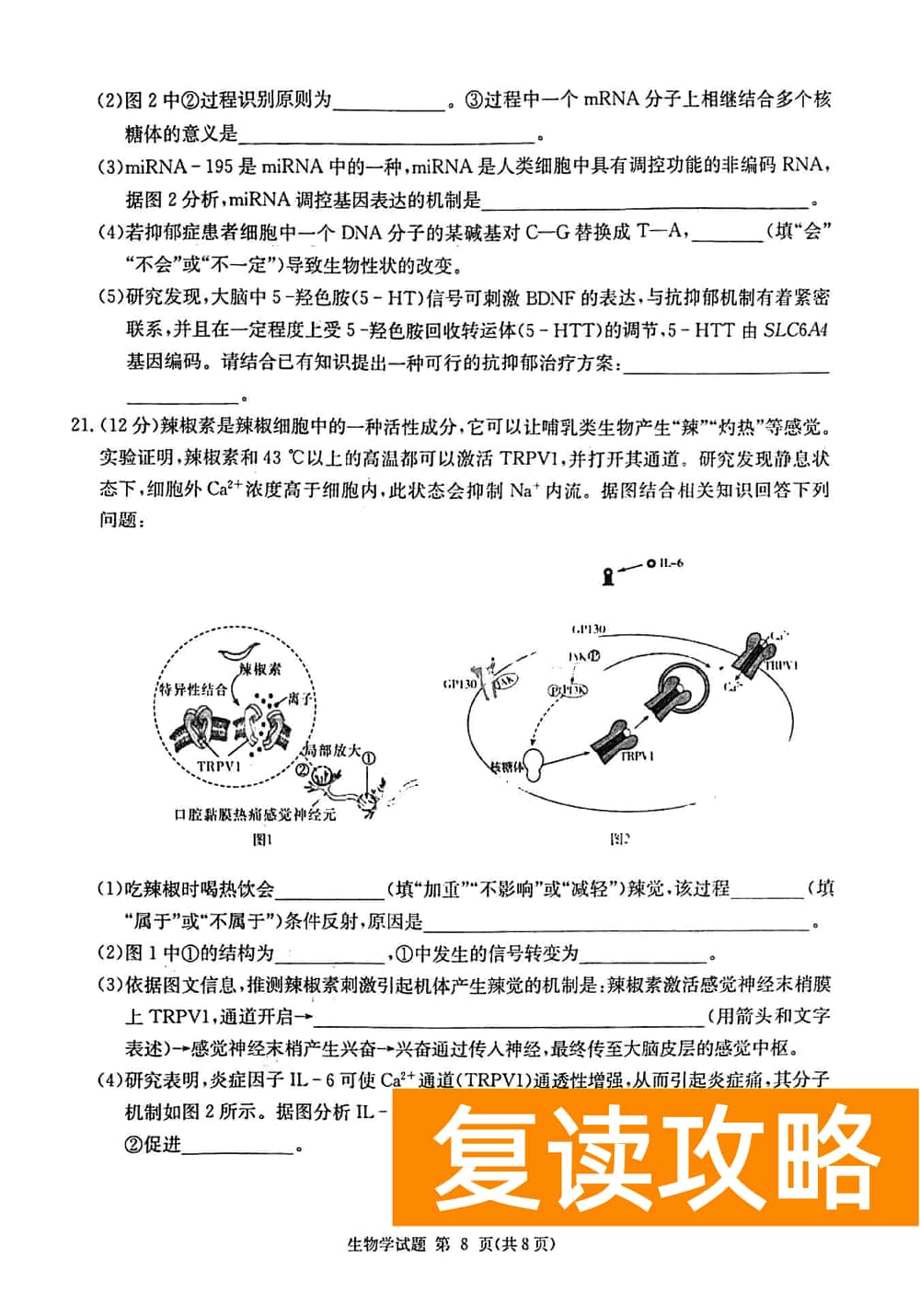 2024届湖南九校联盟高三第一次联考生物试题及答案