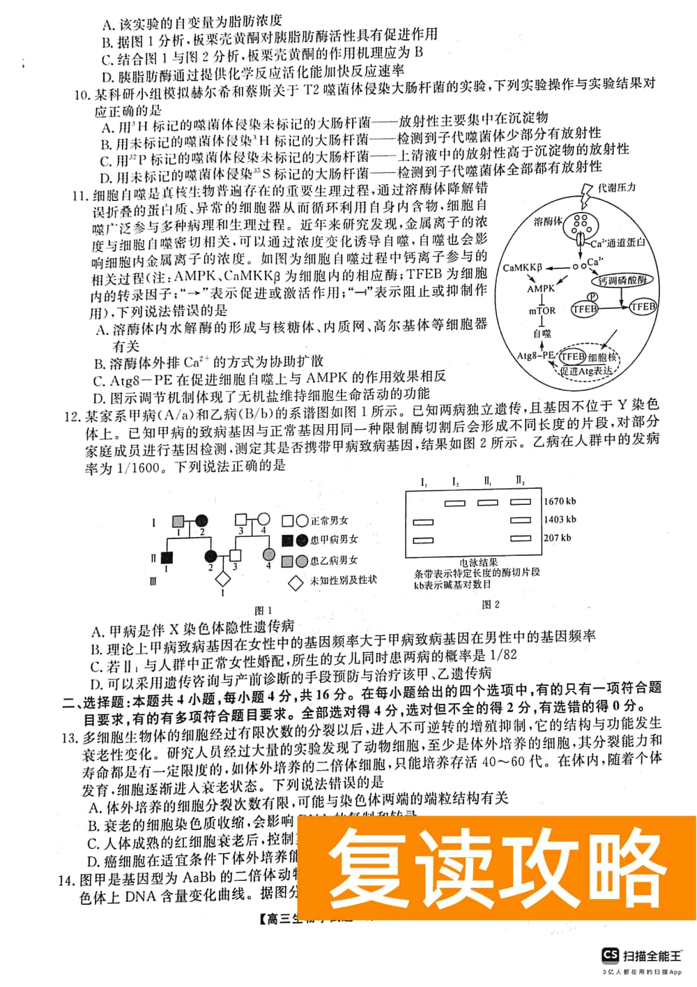 2024届湖南天壹名校联盟高三11月质检生物试题及答案