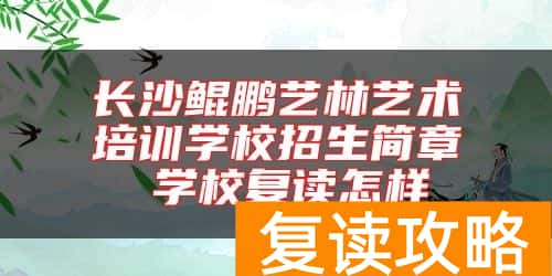 长沙鲲鹏艺林艺术培训学校招生简章 学校复读怎样