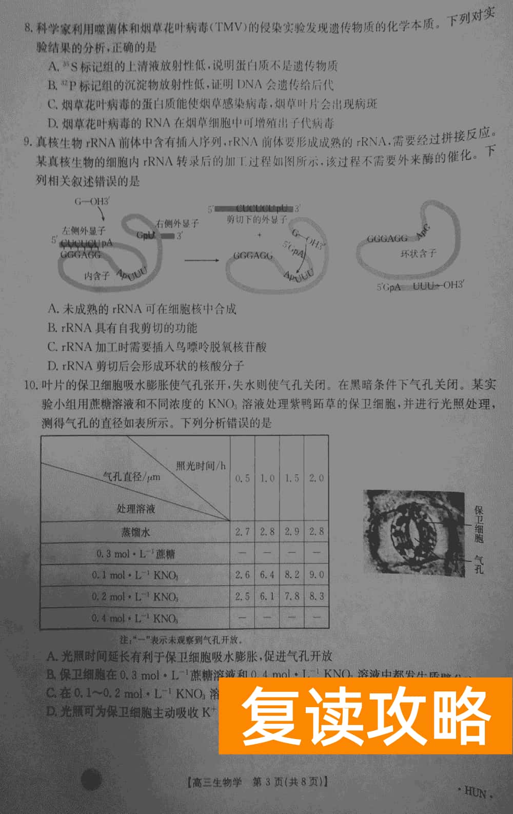 湖南衡阳金太阳2024届高三11月期中考生物试题及答案