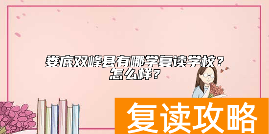 娄底双峰县有哪学复读学校？怎么样？