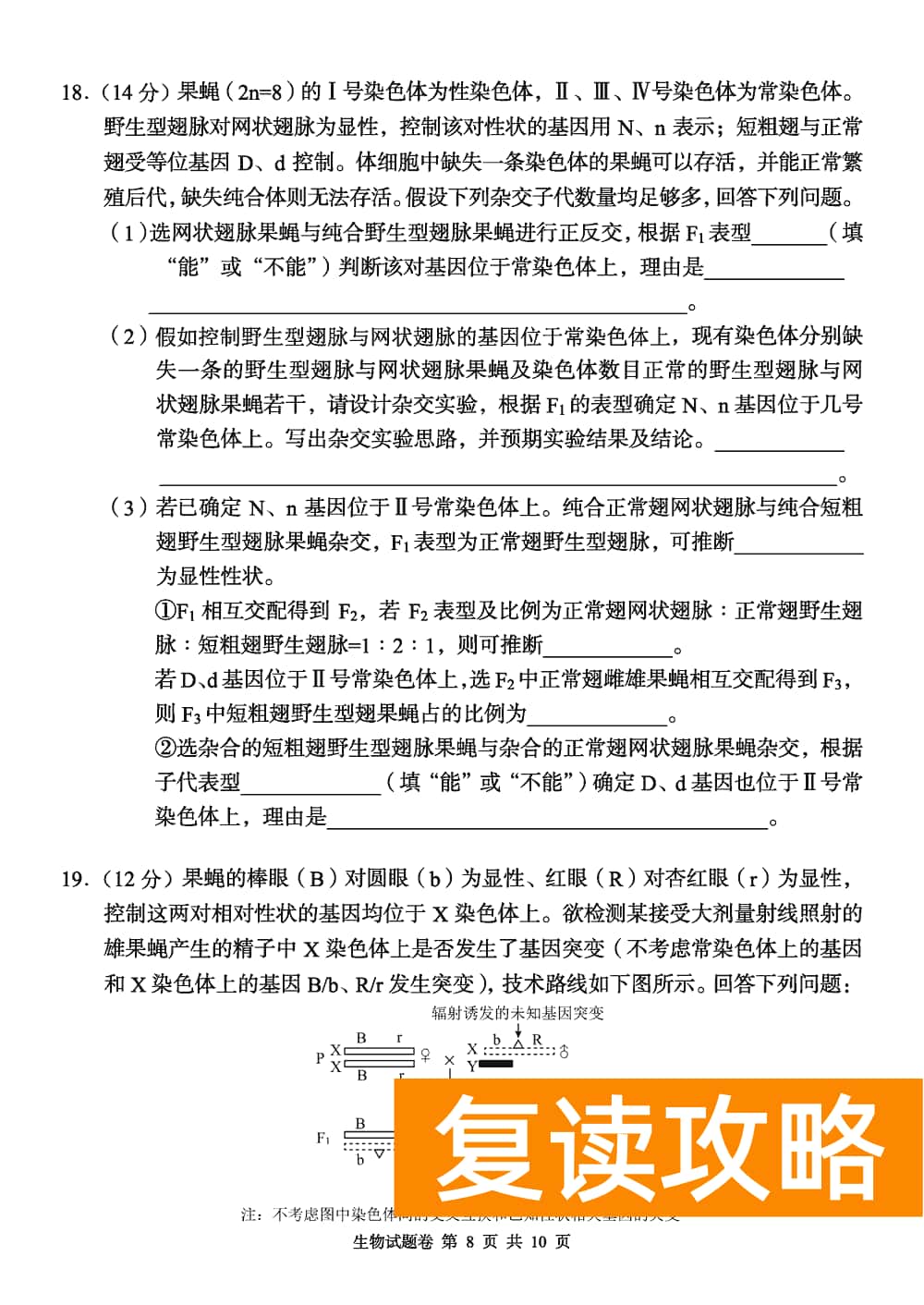 2024届湖南A佳教育高三上11月联考生物试题及答案