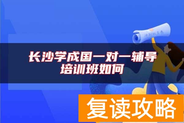 长沙学成国一对一辅导培训班如何