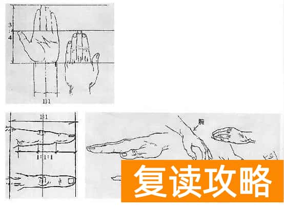 北京市成达学校是复读学校吗（成达分享美术：速写人体形体比例与结构）