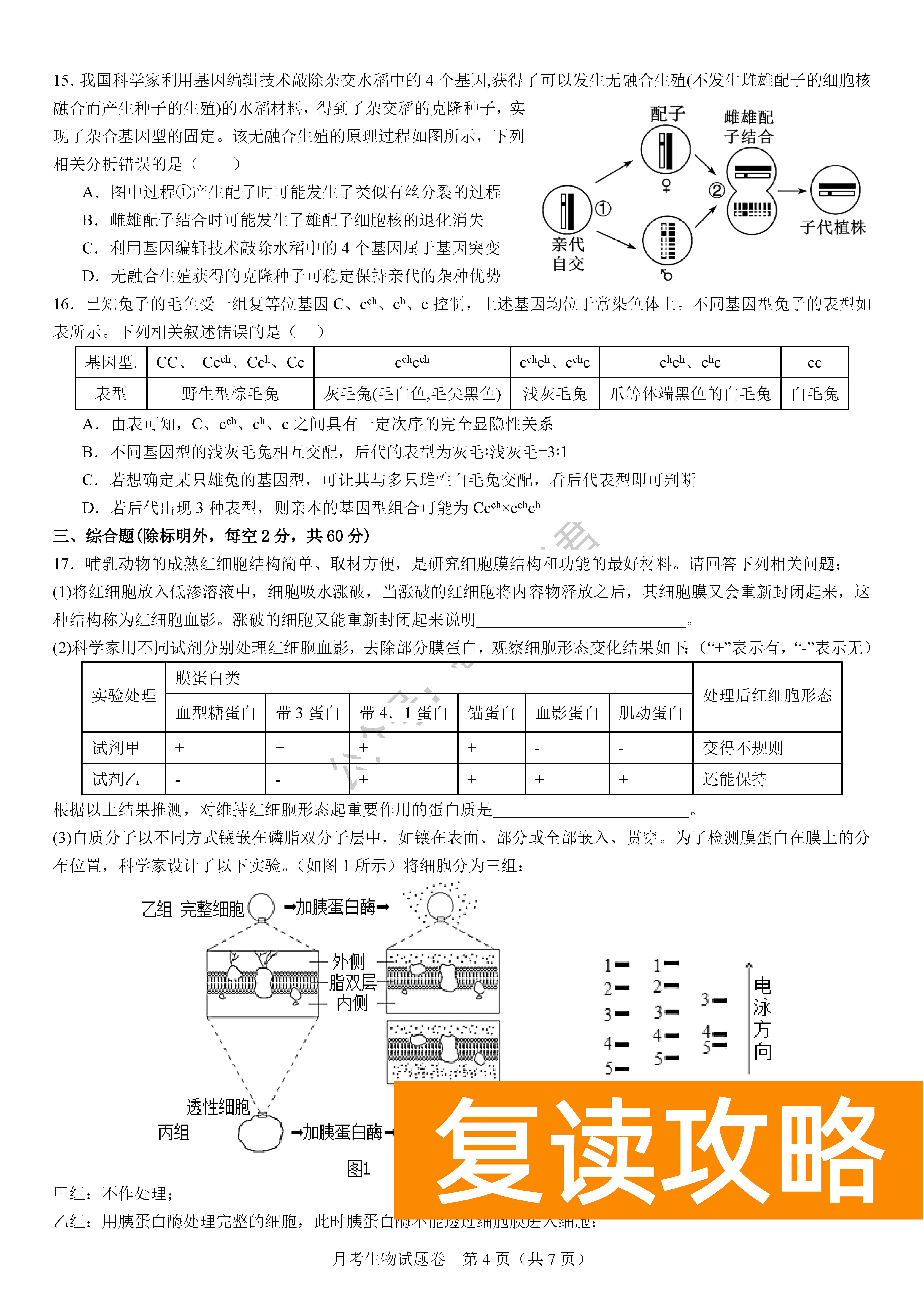 衡阳八中2024届高三上10月月考二生物试题及答案