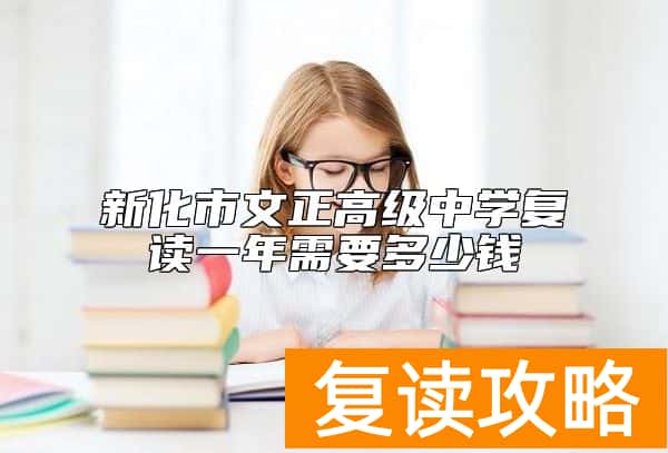 新化市文正高级中学复读一年需要多少钱