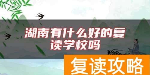 湖南有什么好的复读学校吗