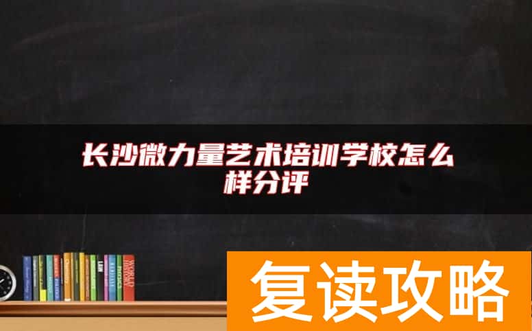 长沙微力量艺术培训学校怎么样分评
