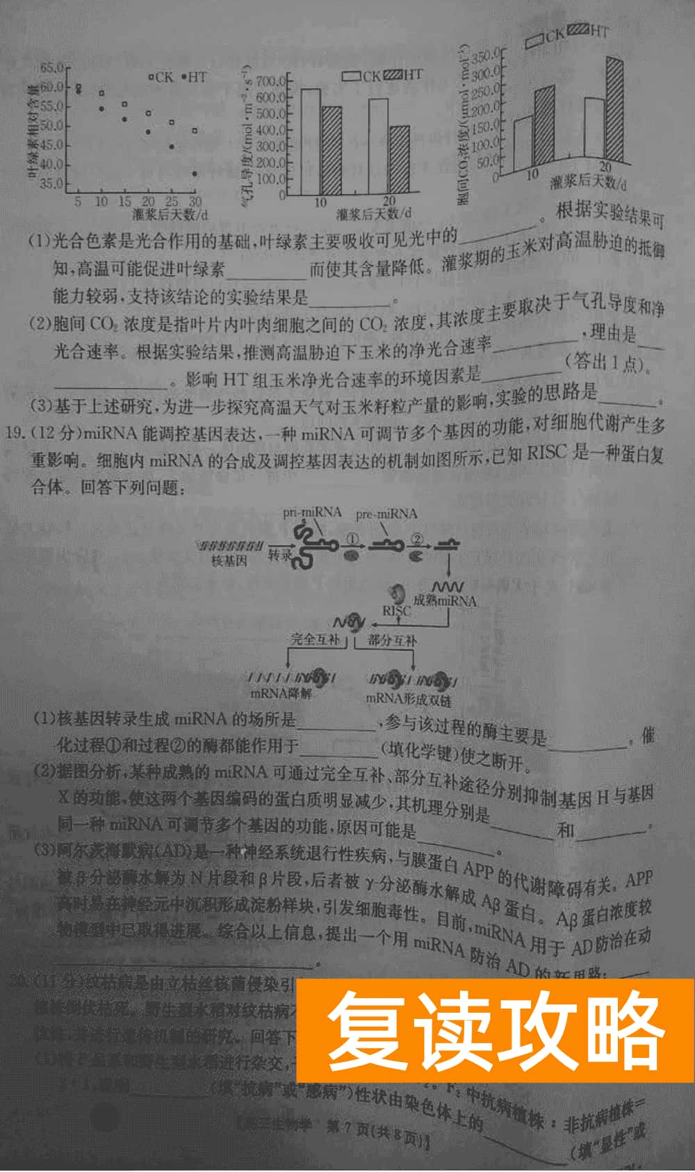 湖南衡阳金太阳2024届高三11月期中考生物试题及答案