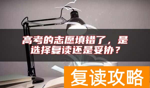 高考的志愿填错了，是选择复读还是妥协？