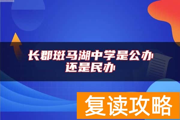 长郡斑马湖中学是公办还是民办