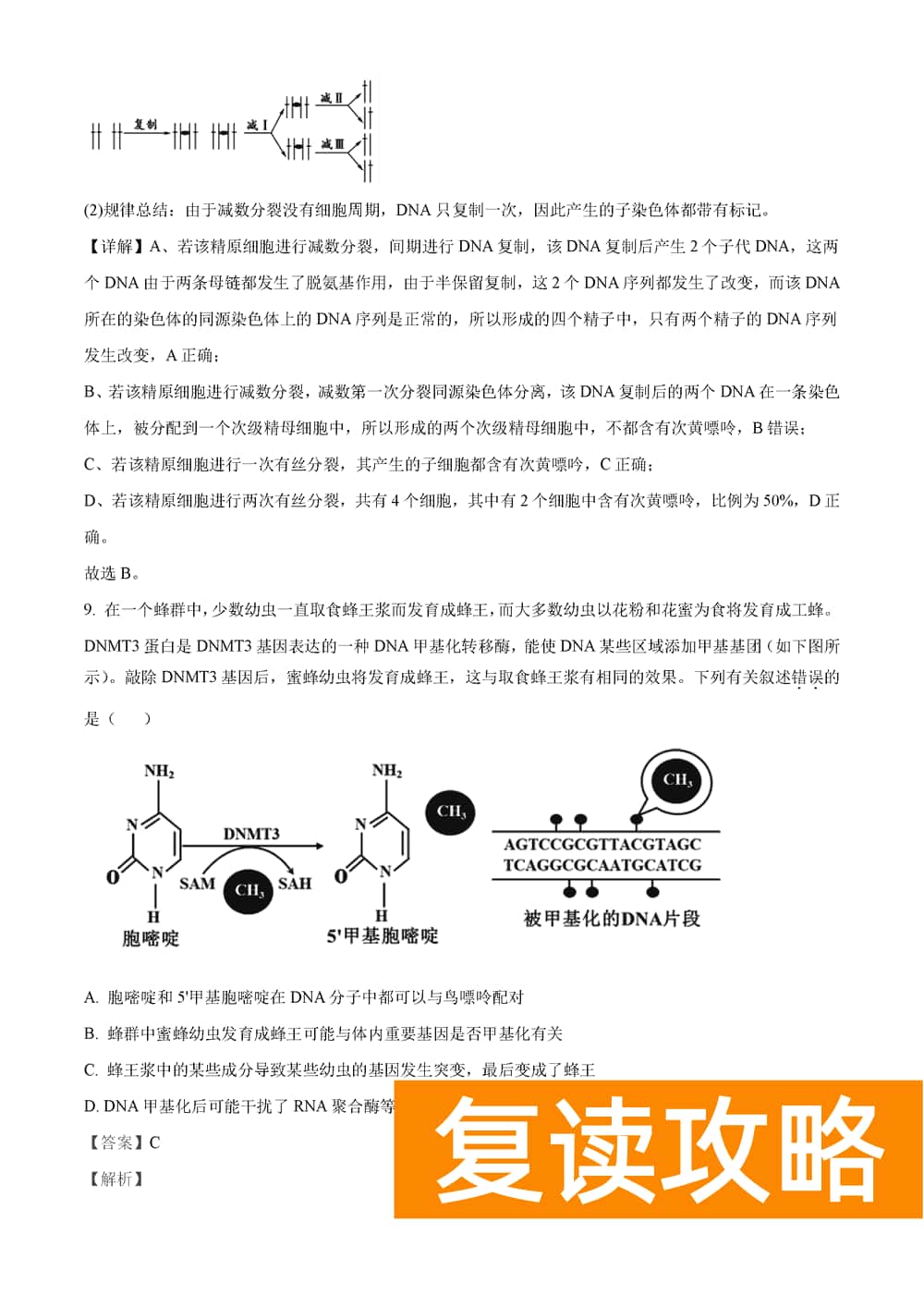 湖南岳汨联考2024届高三11月期中联考生物试题及答案