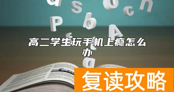 高二学生玩手机上瘾怎么办