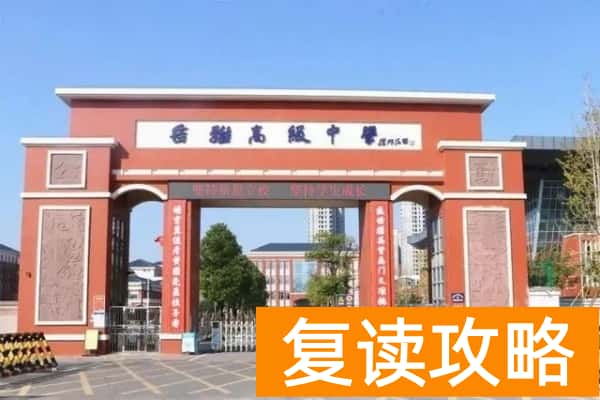 岳雅中学是公立学校还是私立学校