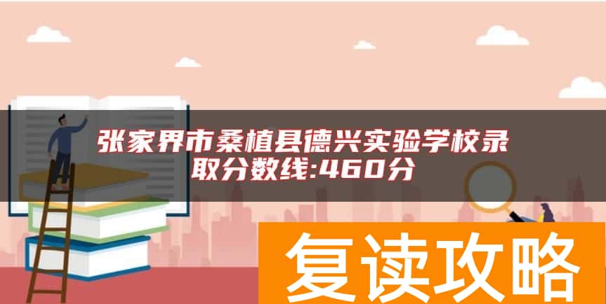 张家界市桑植县德兴实验学校录取分数线:460分