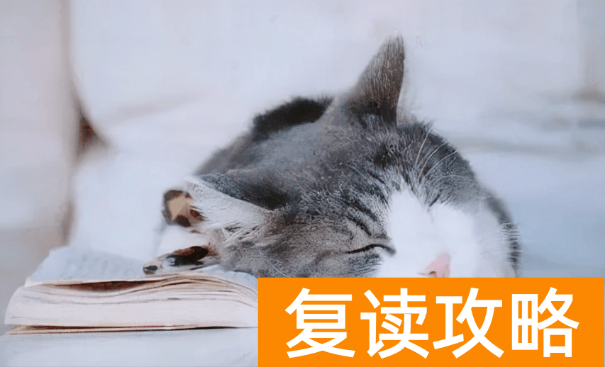 长沙复读生（双胞胎复读双入清华）