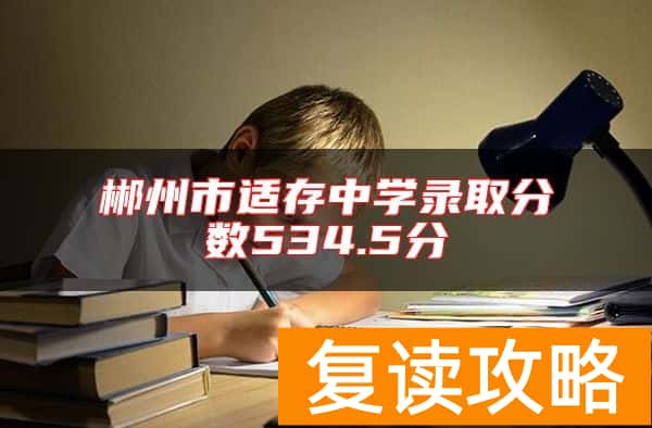 郴州市适存中学录取分数534.5分