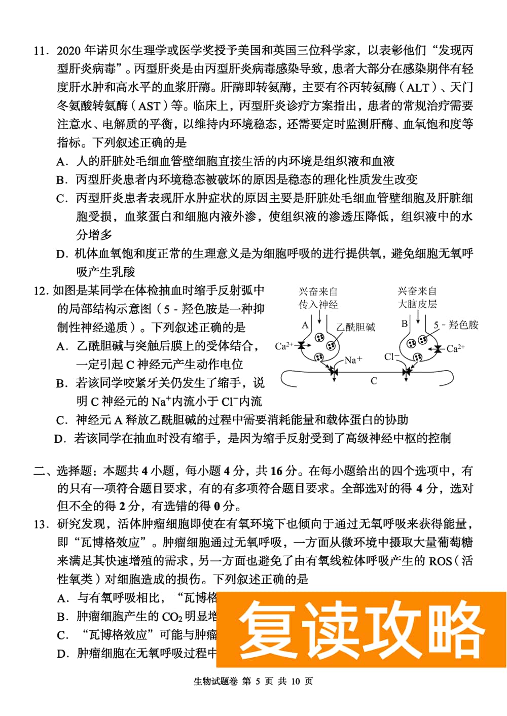 2024届湖南A佳教育高三上11月联考生物试题及答案