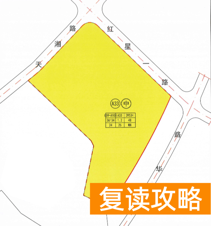 长沙有国际学校吗初中（麓山国际品牌中学规划公示）